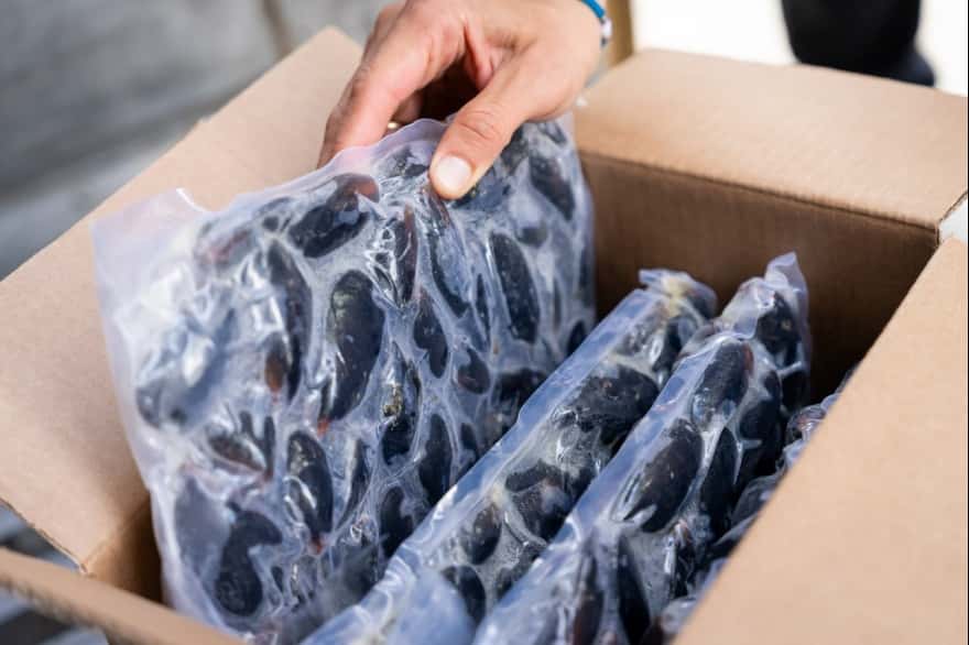 Newsan concretó la primera exportación de 10 toneladas de mejillones de cultivo