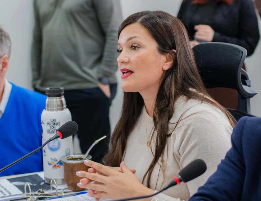 Zamora y Löffler impulsaron un reclamo a Nación para evitar aumentos en las tarifas de gas
