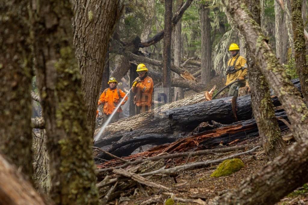 Quedaron sobreseídos los dos imputados por el incendio forestal del 2022 que consumió más de 8 mil hectáreas y se continúa investigando otra pista