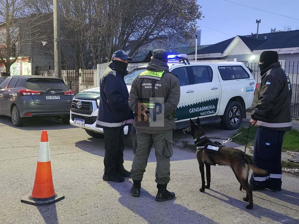 Allanamientos federales en dos viviendas de Río Grande incautaron cerca de 9 kilos de marihuana