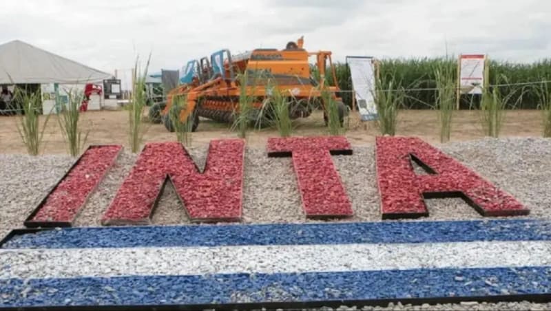 INTA impulsa 1500 retiros voluntarios