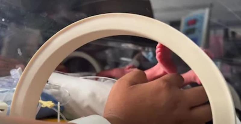 Milagro en Chubut: nacieron trigemelas