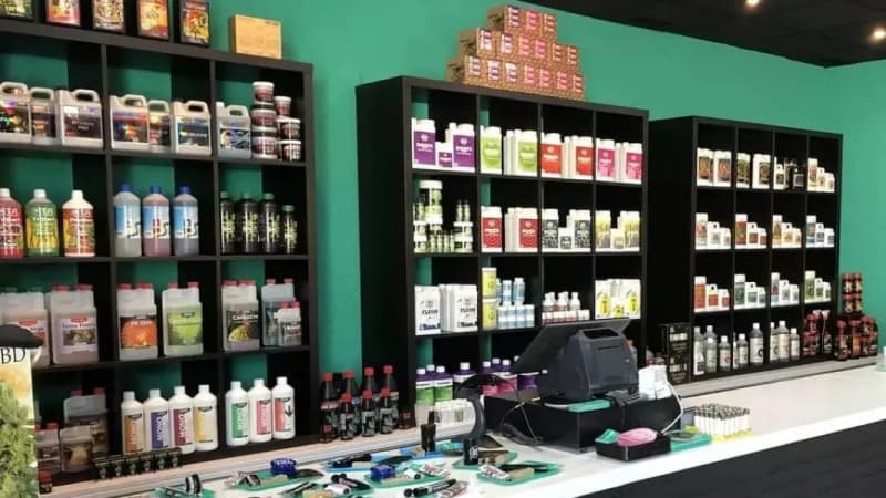 Nuevo marco legal para growshops en Ushuaia