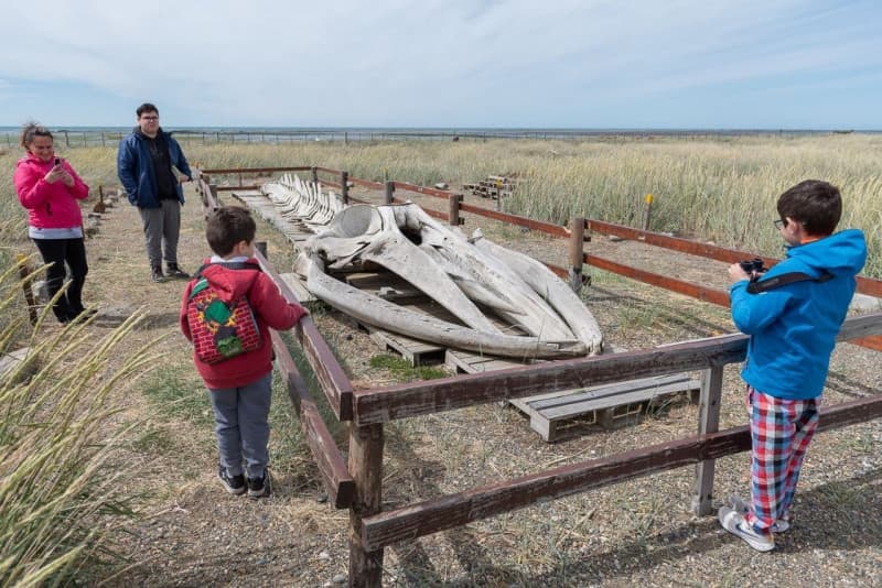 Verano con actividades en el CIA