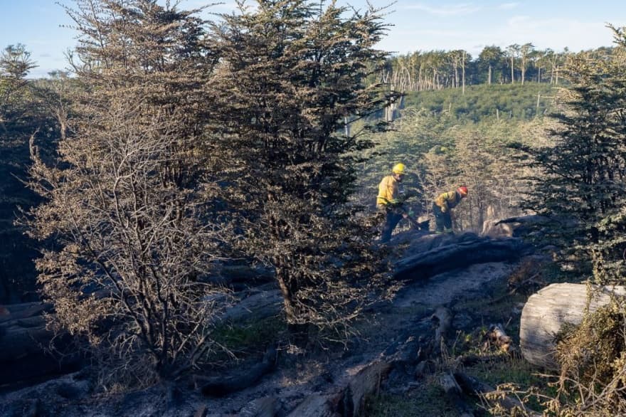 Incendio en estancia San Justo: "No hubo propagación y no se detecta actividad de llama"