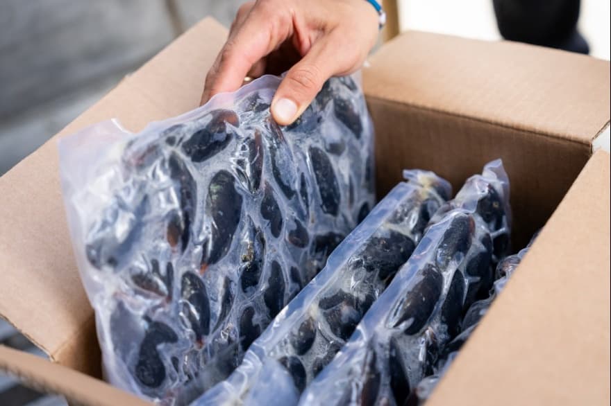 Newsan concretó la primera exportación de 10 toneladas de mejillones de cultivo