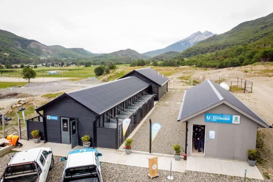 La Municipalidad de Ushuaia actuó ante el ataque de dos perros pitbull en el barrio Los Moros