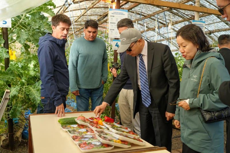 Delegación china visitó el emprendimiento agroproductor del municipio en Misión Salesiana