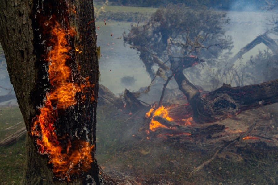 “Creemos que falta muy poco para extinguir el incendio en la reserva provincial corazón de la isla”