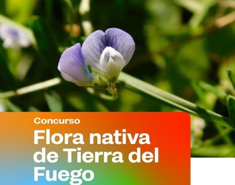 Gobierno lanza Concurso para elaborar la Primera Guía de Flora Nativa de las Áreas Naturales Protegidas