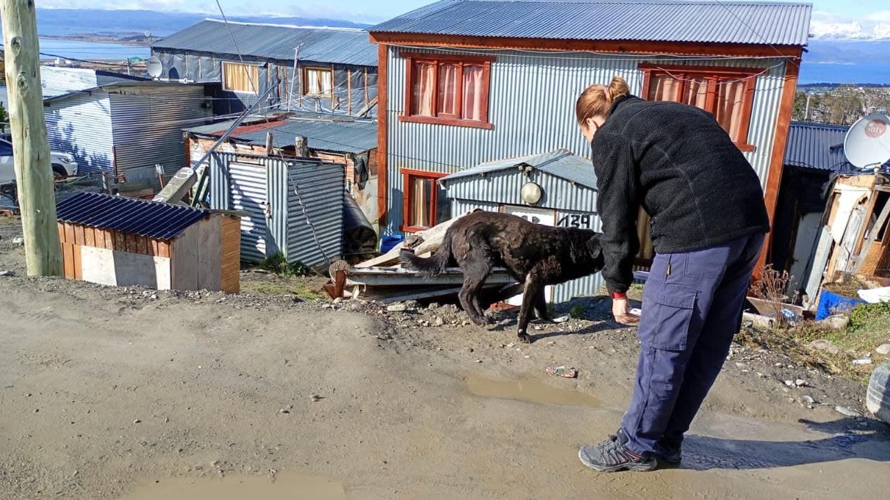 Zoonosis Municipal realizó un operativo territorial en el Barrio El Escondido