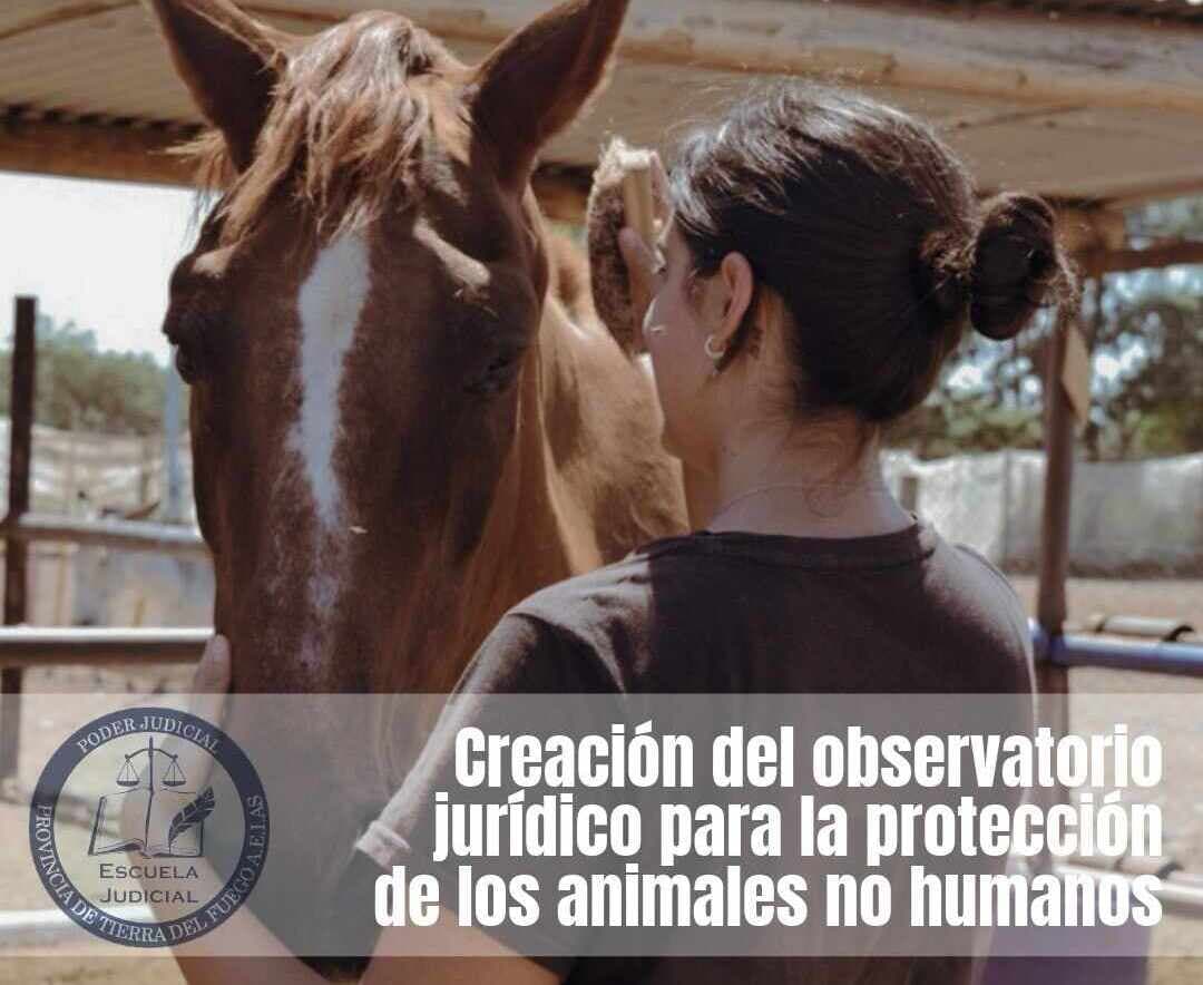 Crean el Observatorio Jurídico para la Protección de los Animales No Humanos