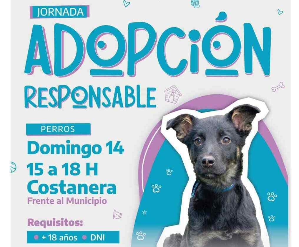 RGA Mascotera: Nueva Jornada de Adopción Responsable en la Costanera