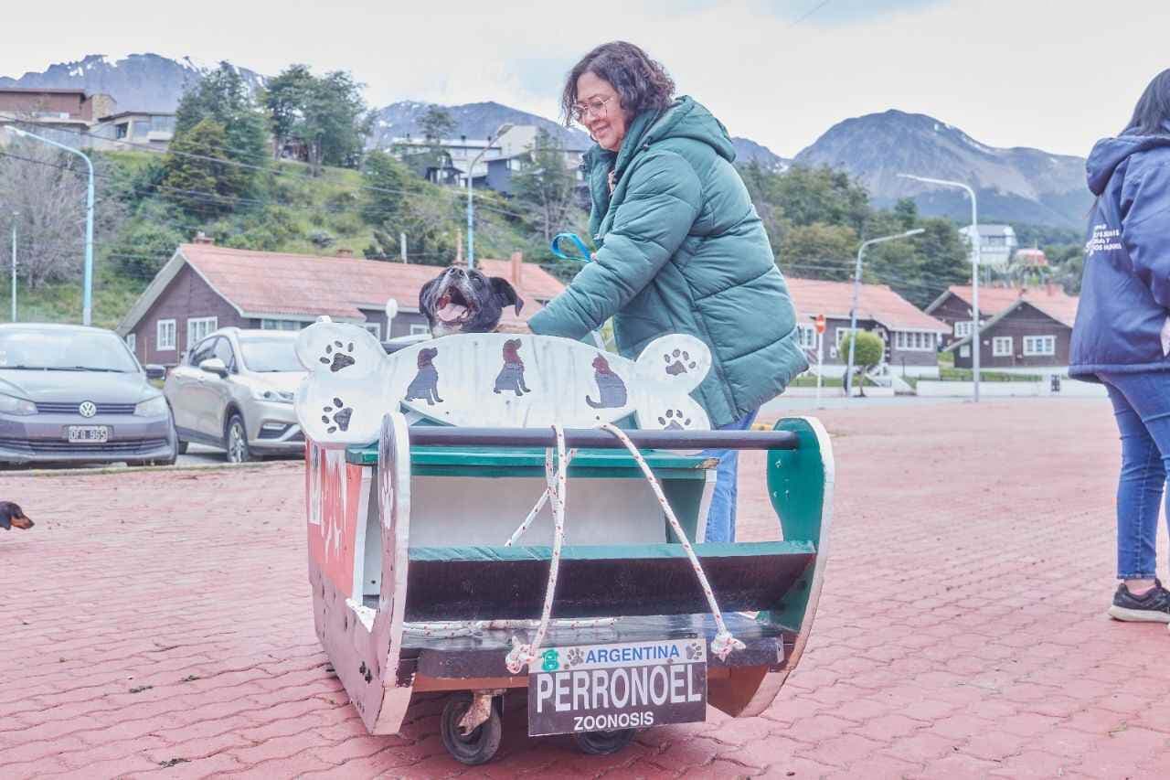 Zoonosis realizó actividades de cierre de año promoviendo la tenencia responsable de mascotas