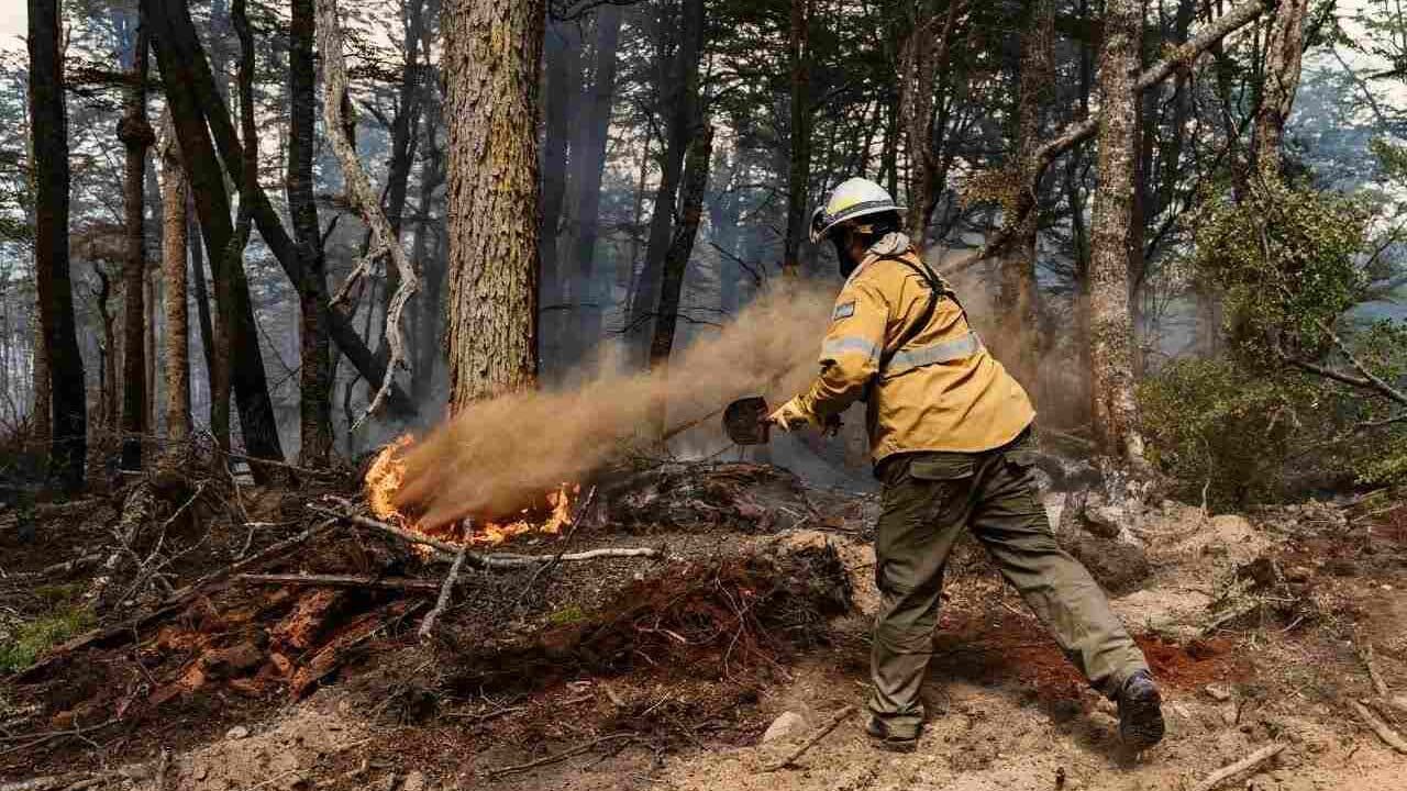 Refuerzan la prevención de incendios forestales y llaman a la responsabilidad comunitaria