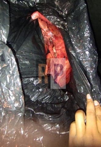 Cuatro detenidos el fin de semana por abigeato de 3 corderos que eran transportados en un vehículo