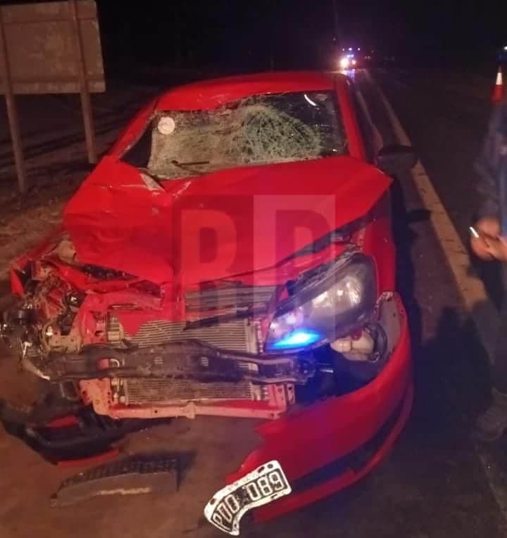 Violento accidente de un vehículo contra un equino