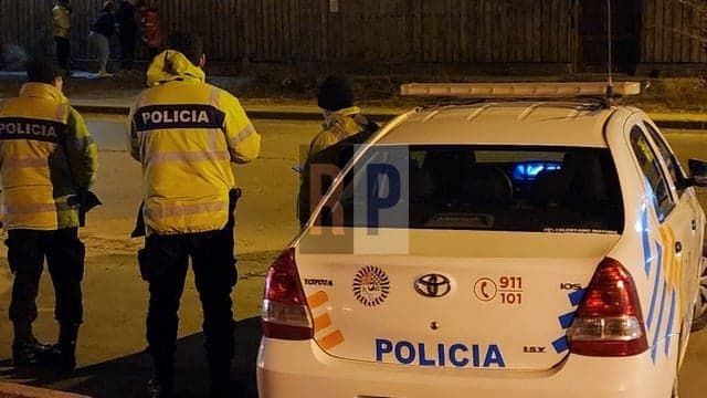 Un sujeto detenido por asalto a mano armada, a un septuagenario en su casa de la margen sur
