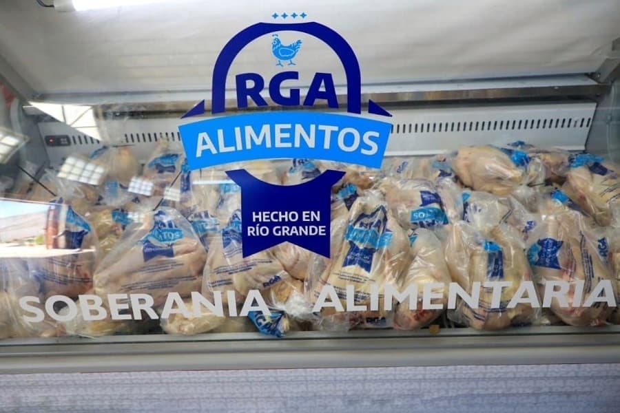 Se retomó la producción de pollos frescos