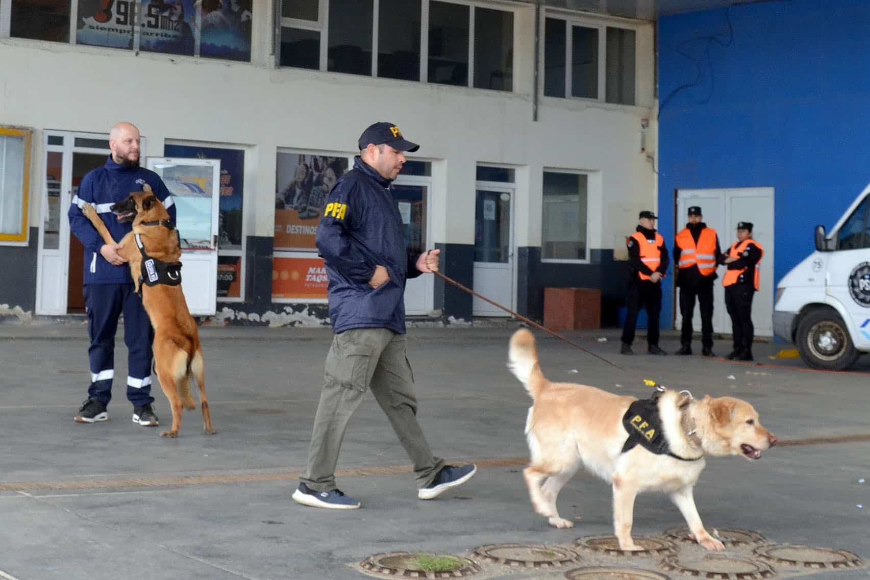 Operativo de control en la terminal de ómnibus con canes antidrogas