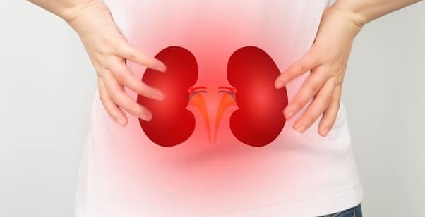 Día Mundial del Riñón: las 8 reglas de oro para cuidar la salud renal