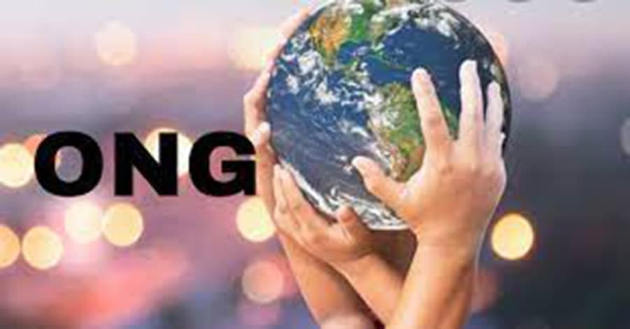 Concurso para Organizaciones No Gubernamentales