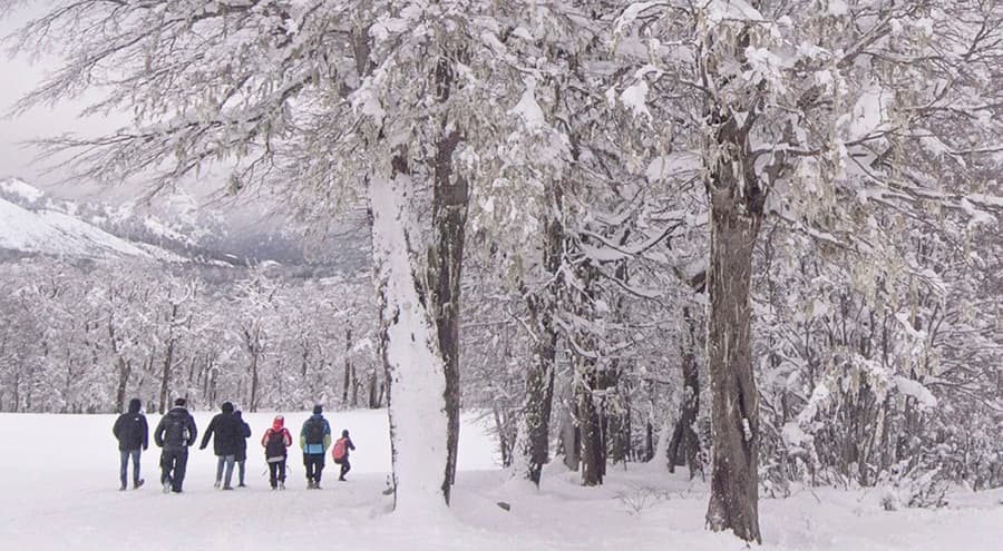 Se movilizaron cinco millones de turistas