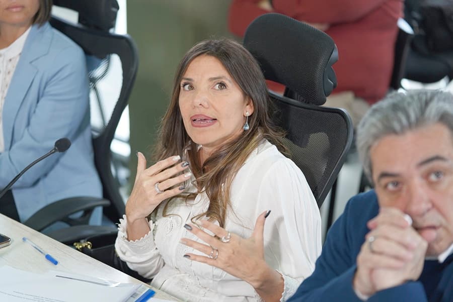 Viviana Manfredotti expuso el presupuesto para turismo