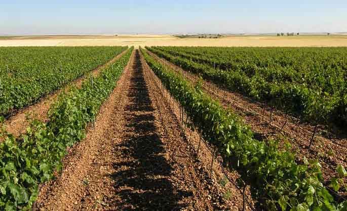 Río Negro y Neuquén consolidan agenda regional para el desarrollo turístico