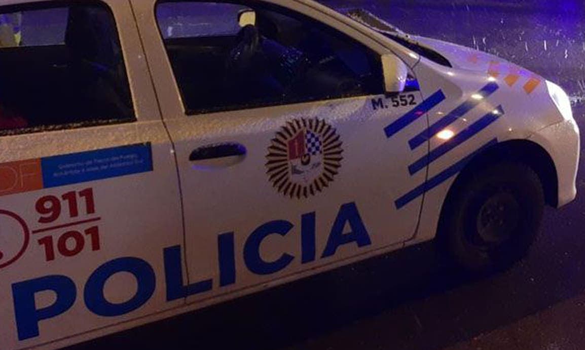 Detuvieron a dos sujetos que robaron en un auto