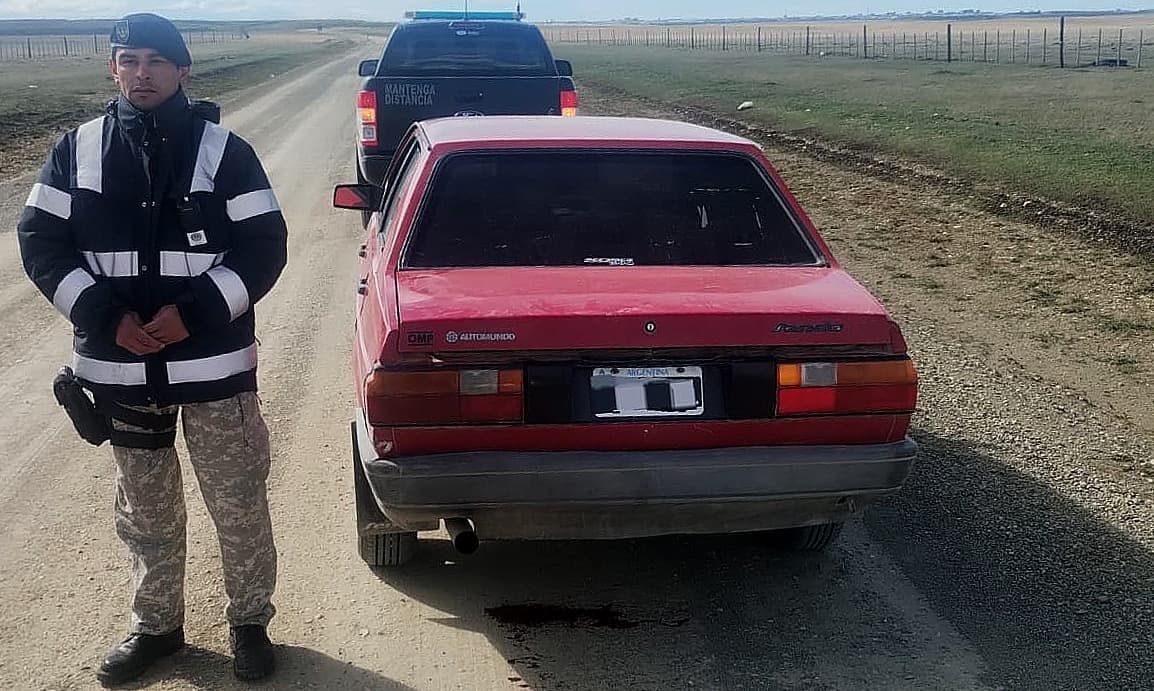 Decomisaron armas, truchas y un guanaco cazado