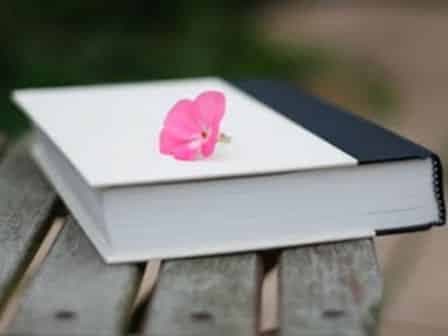 Sábado de Varieté y liberación de libros en la UNTDF