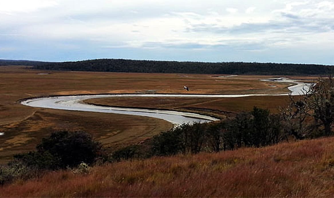 Hallan restos óseos de posible origen humano en la desembocadura del río Ewan Norte