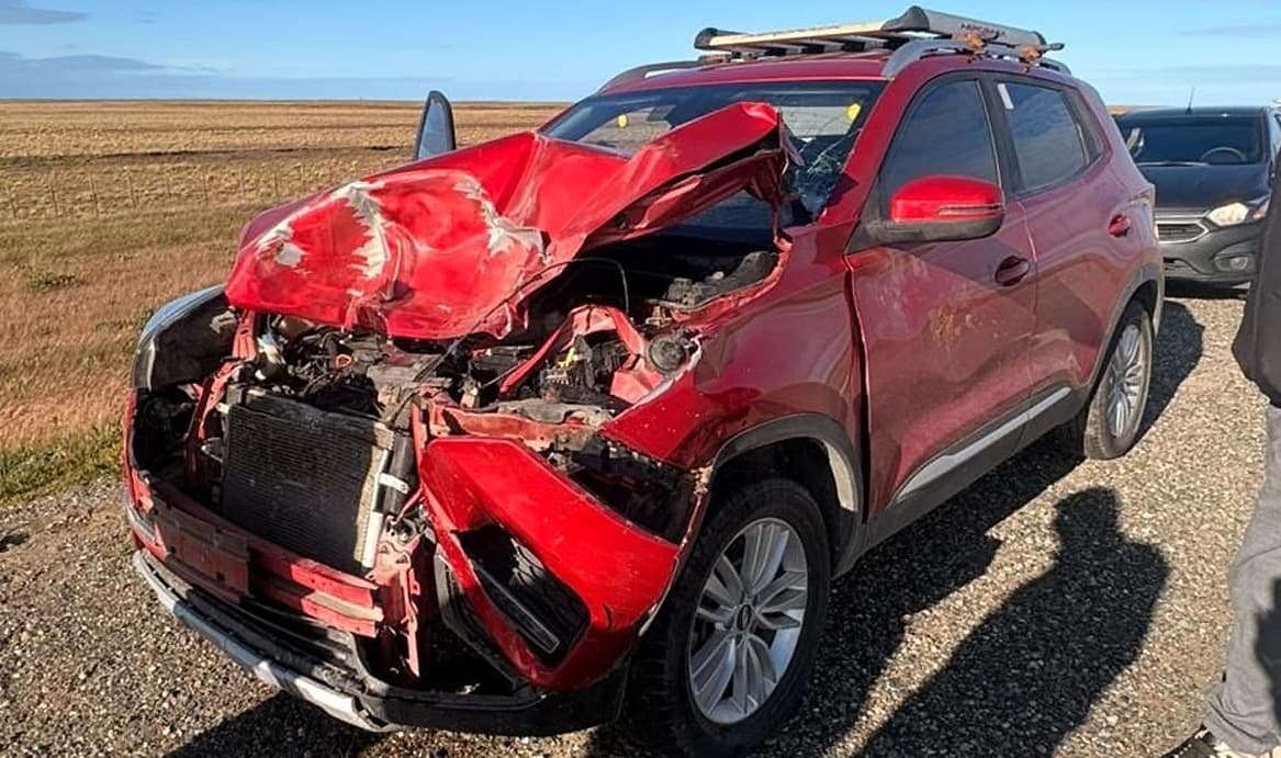 Ruta 3: un vehículo colisionó contra un guanaco