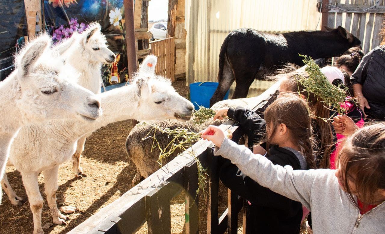 Hubo “Recreo en la Granja”, en La Cimarrona