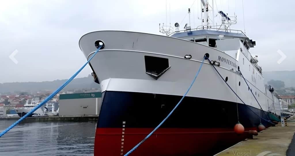 Inició la pesca de calamar en Malvinas