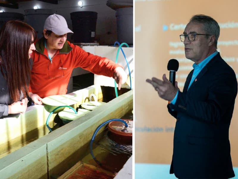 Aclaran que no se habilita una acuicultura sin límites