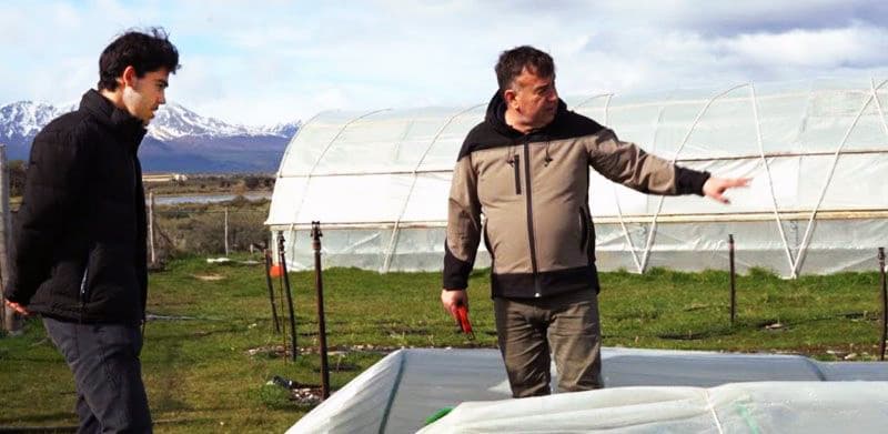 Avanza el primer viñedo más austral del planeta