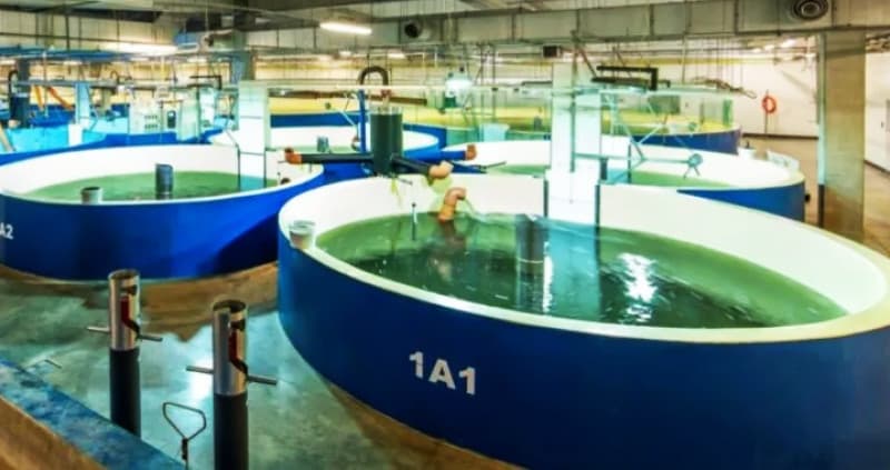 "Con ese criterio no existiría la explotación petrolífera"