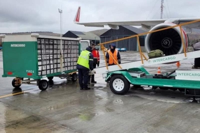 El Gobierno Nacional pone en venta Intercargo