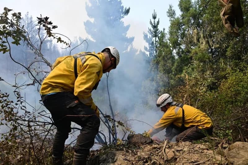 Incendio intencional en Puerto Patriada