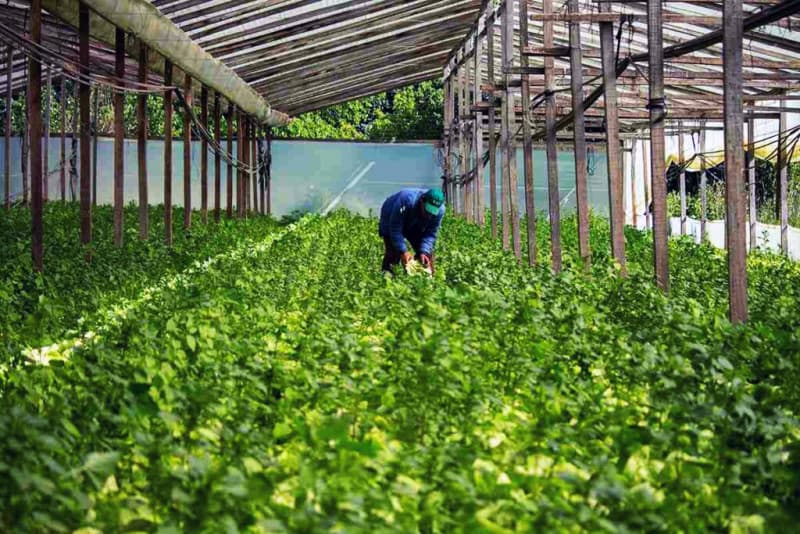 Jornada de formación sobre normativa orgánica