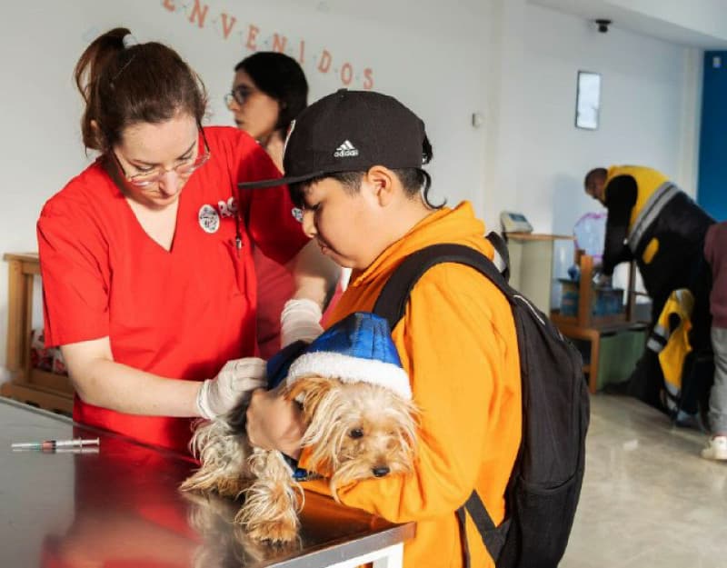 Nueva jornada de vacunación antirrábica este sábado