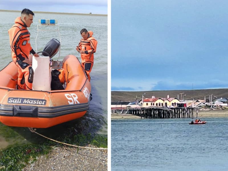 Prefectura rescató a un perro atrapado por la marea