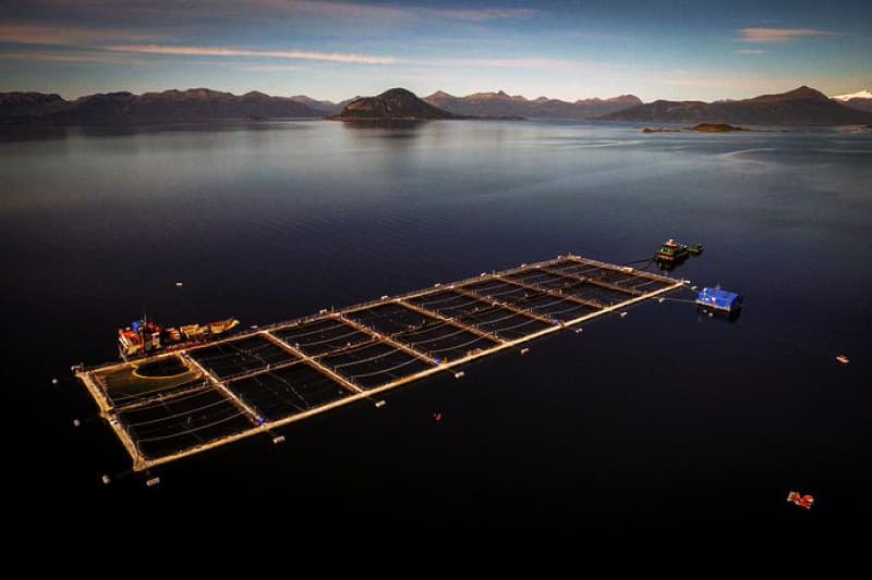 Proyectan inversiones por hasta US$600 millones