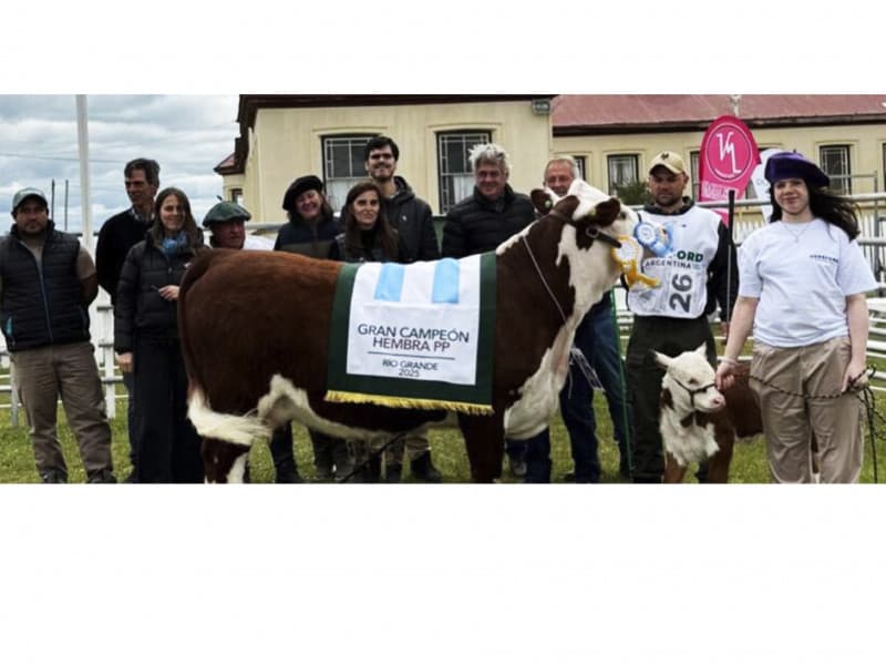 Se realizó la 19ª edición de la Jura y Remate Hereford