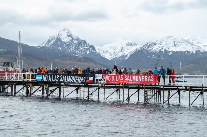 Tierra del Fuego es considerada ejemplo de conservación contra la industria salmonera