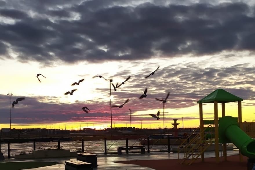 La ola polar continuará hasta el martes con mínimas de hasta 20 grados bajo cero