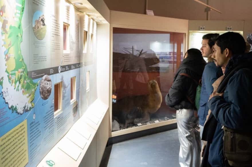 Todas las actividades y talleres de verano del Museo del Fin del Mundo