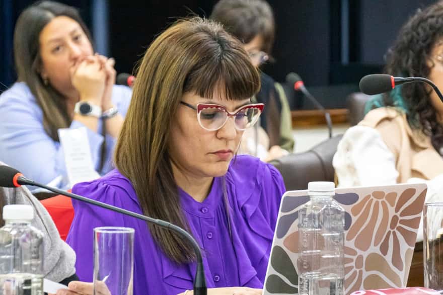 Designaron a la nueva Defensora de los Derechos de Niñas, Niños y Adolescentes de Tierra del Fuego